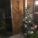 クリスマスの準備はコストコとIKEAで!おしゃれなツリーやチキンをコスパよく揃えよう